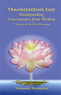 (image for) Distinguishing Consciousness from Wisdom (PDF)